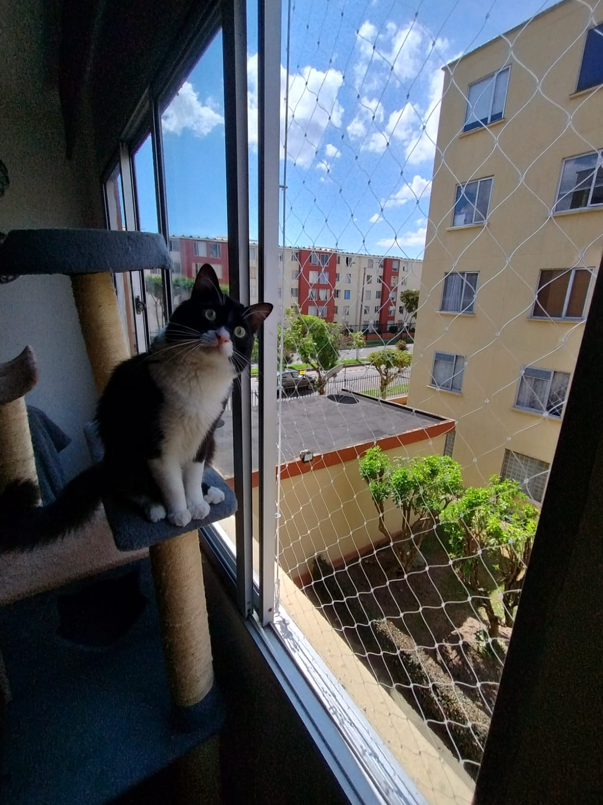 Instalación profesional de mallas de seguridad en terrazas y balcones para mascotas.