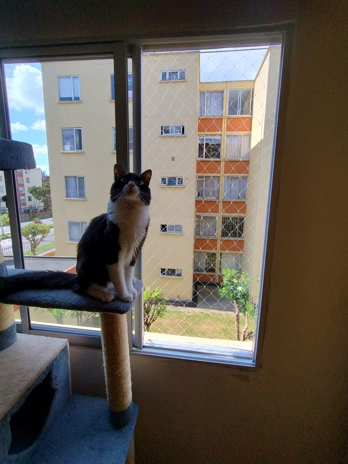 Malla instalada en un balcón alto para garantizar la seguridad de gatos y perros.