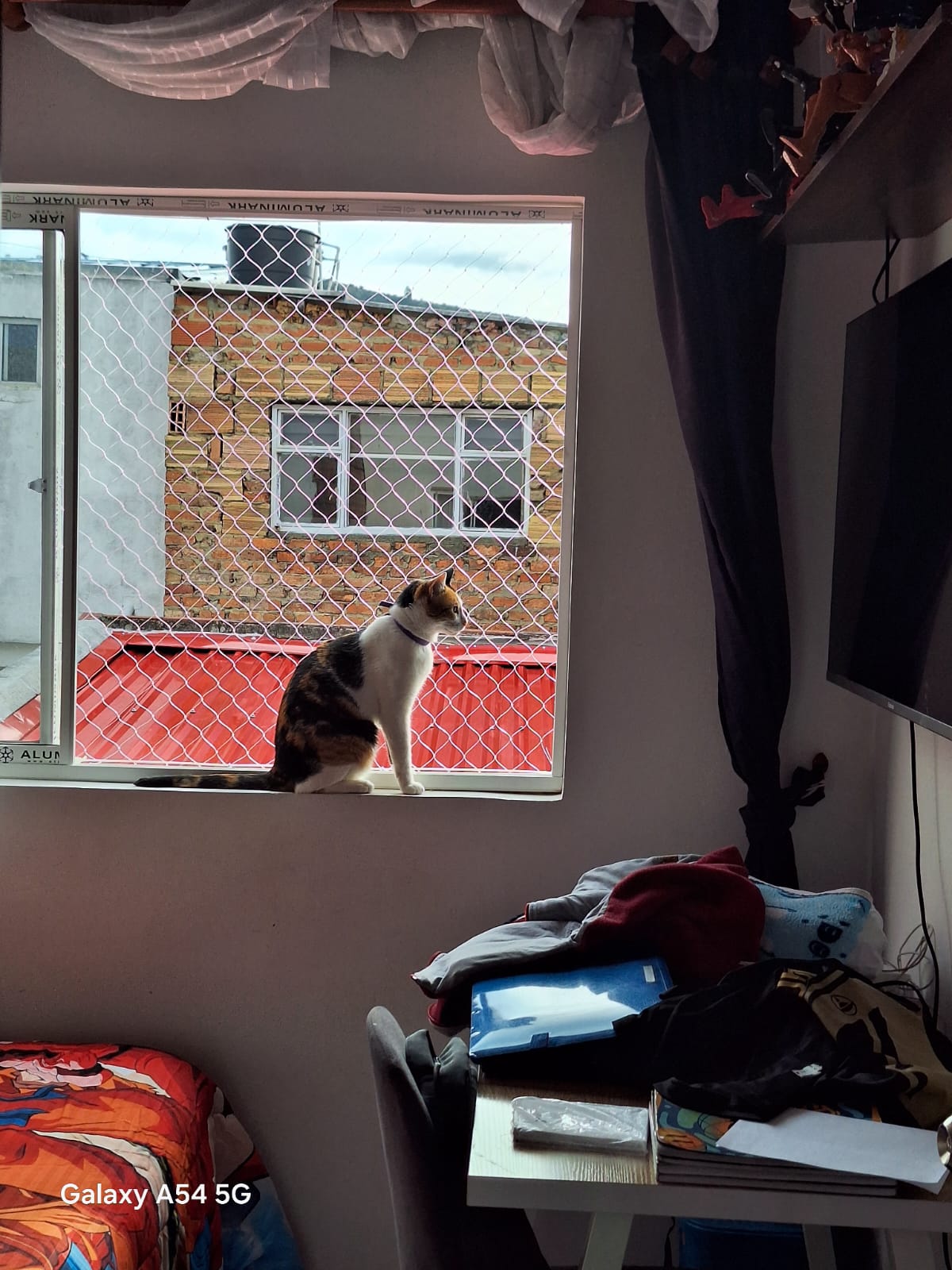 Instalación de mallas en balcones para evitar caídas de gatos sin obstruir la panorámica.