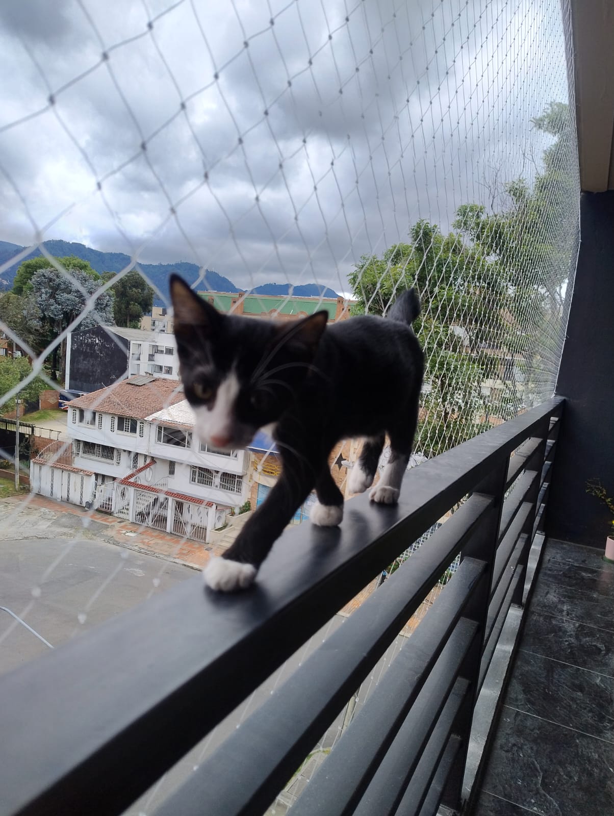 Mallas de seguridad para gatos en balcones, instaladas de forma profesional.
